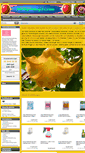Mobile Screenshot of duengershop24.com